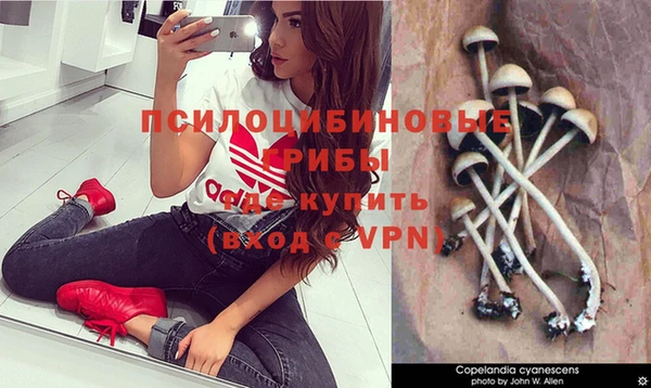 гидропоника Алексин