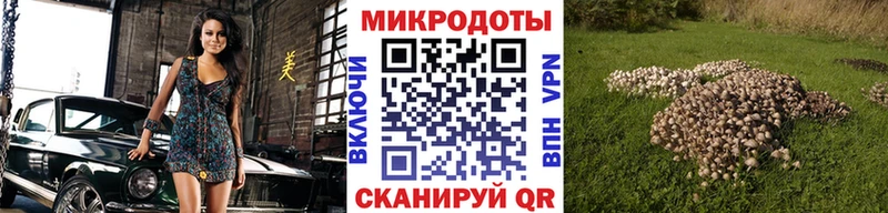 Псилоцибиновые грибы мицелий Харабали